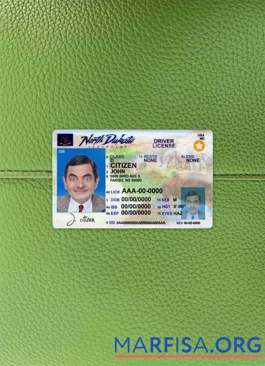 Blank USA North Dakota DL 2020 present photolook example